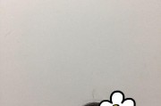 吃瓜娱乐小叮当,吃瓜娱乐界的甜蜜旋风