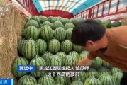 娱乐吃瓜酱爷爷花篮,揭秘娱乐圈背后的温馨故事